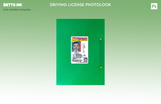 Возачка дозвола во модерен стил САД Конектикат под шаблон photolook FRONT